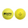 51385 Tennisbälle JOSEPH AV-Trainer mit eigenem Logo Dose  4 Bälle Mindestbestellmenge 500 Dutzend