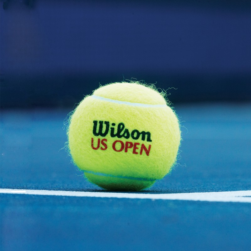 51110 Tennisbälle WILSON US Open Dose  4 Bälle