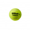 51130 Tennisbälle WILSON Triniti 4er Dose